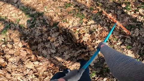 Autumn routine and yard care, cleaning the garden Stock Footage 346168589