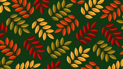 Autumn Rowan Leaf Pattern Background with Colorful Fall Botanical Seamless L Stock Footage 339168682