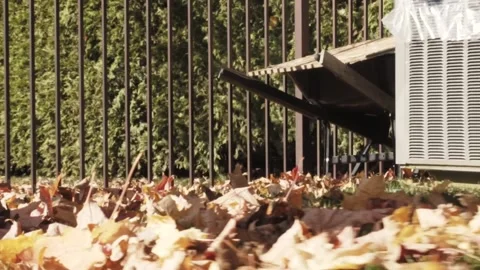 Autumn run 스톡 동영상 219837206