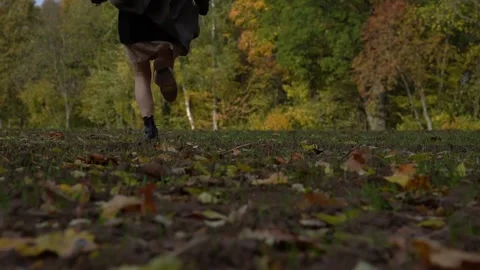 Autumn Run Video stock 247433076
