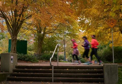 Autumn Run 写真素材