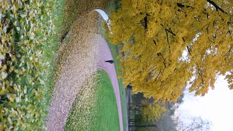 Autumn running man Stock-Footage 163553319