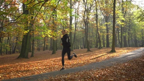 Autumn running in park. Stock Footage 118975355