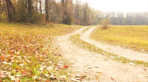 Autumn rural road. Stock Footage 44754273