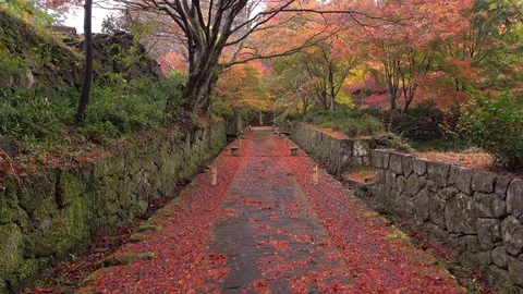 Autumn at Ryoko Temple, Oita Prefecture, Japan Stock Footage