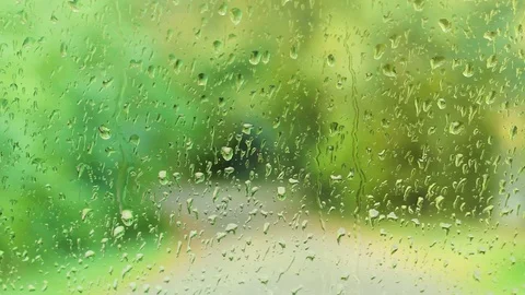 Autumn sad mood Stock Footage 119575355