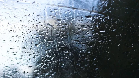 Autumn sad mood Stock Footage 119575417
