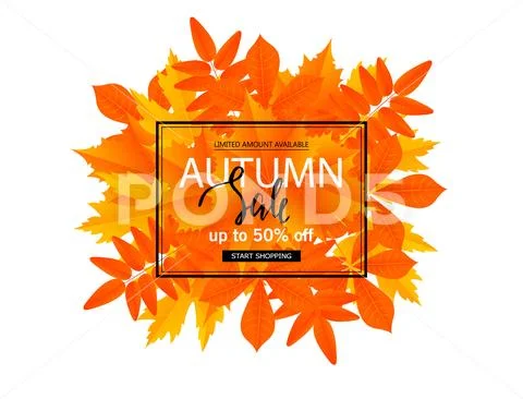 Autumn sale poster with fall leaves . Vector illustration for website and mob Stock Illustration
