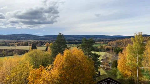 Autumn Saturday Stock Footage 219408069