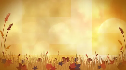 Autumn Scene 1080 background Stock Footage 50787967