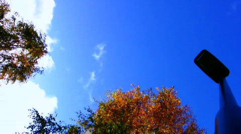 Autumn scene 3  Video stock 559942