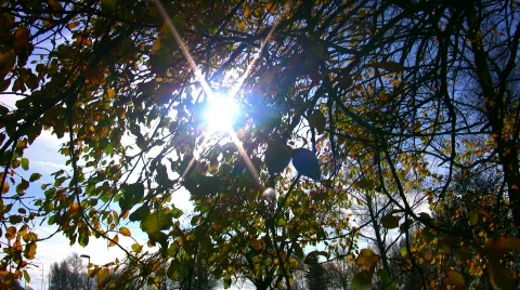 Autumn scene Stock Footage 284814