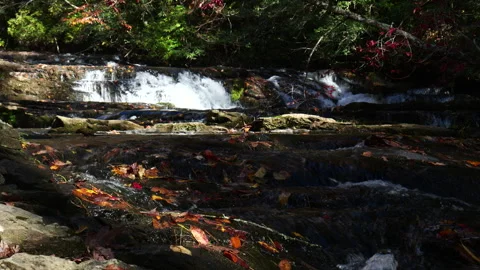 Autumn scene on a mountain stream Stock Footage 320354204
