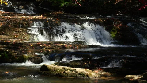 Autumn scene of a mountain stream Stock Footage 320354205