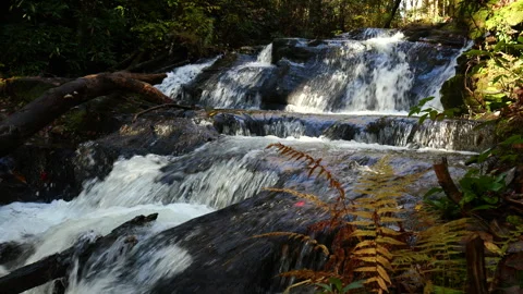 Autumn scene on a mountain stream Stock-Footage 320478757