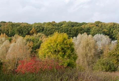 Autumn scene Stock Photos