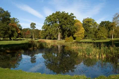 Autumn scene Stock Photos