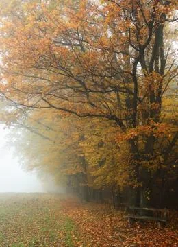 Autumn scene Stock Photos