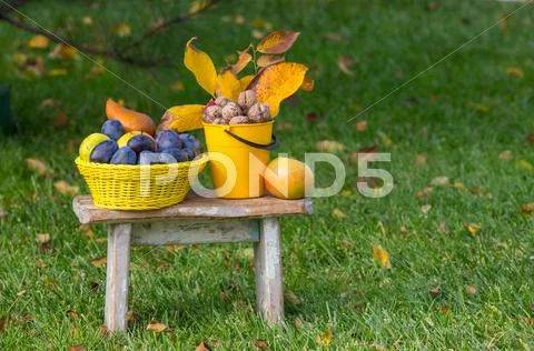 Autumn scene Stock Photos