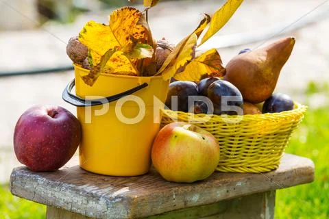 Autumn scene Stock Photos