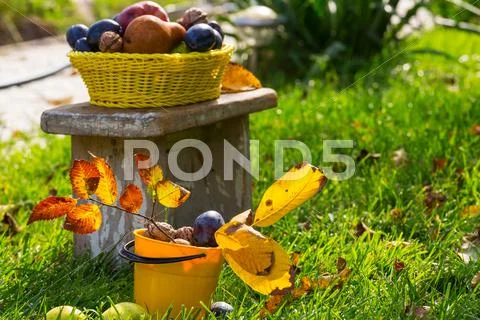 Autumn scene Stock Photos