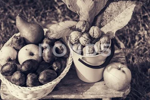 Autumn scene Stock Photos