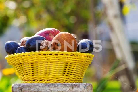 Autumn scene Stock Photos