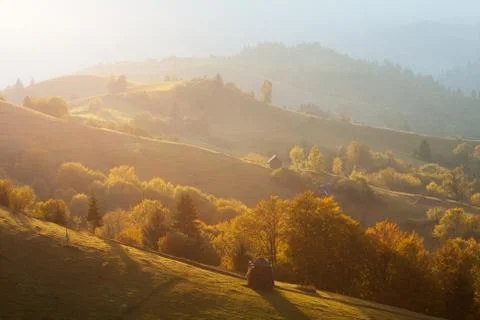 Autumn scene Stock-Fotos