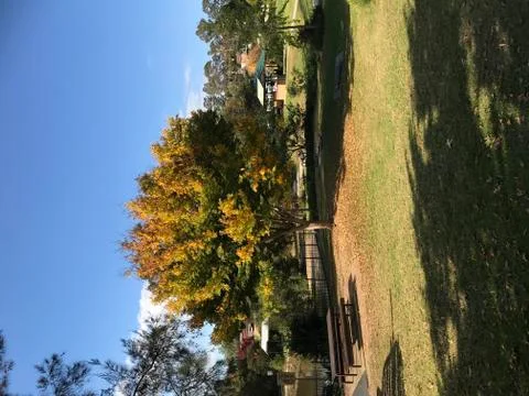 Autumn scene Foto stock
