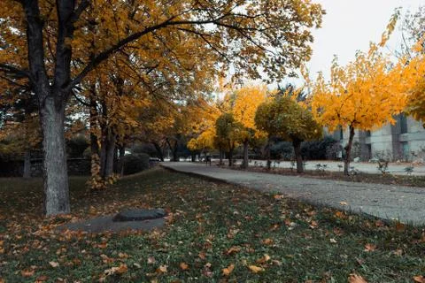 An Autumn Scene Stock Photos