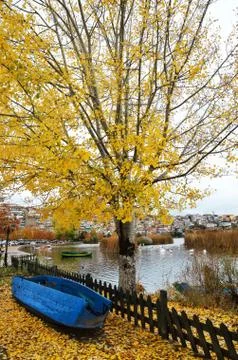 Autumn scene Stock Photos
