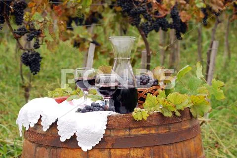 Autumn scene with red wine and grape.JPG Stock Photos