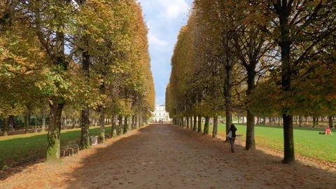 Autumn scene of tree lined promenade in Luxembourg Gardens, Paris Stock Footage 88450603