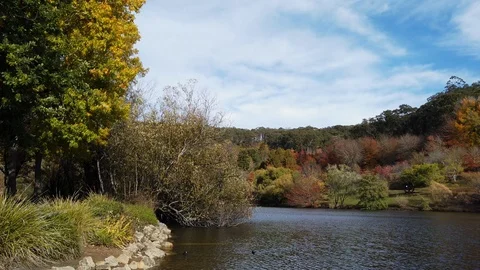 Autumn scenery 스톡 동영상 110884615