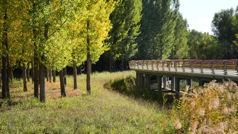Autumn scenery Vídeos de archivo 346028298