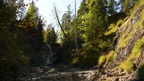 Autumn scenery with a mountain stream Stock Footage 260862723