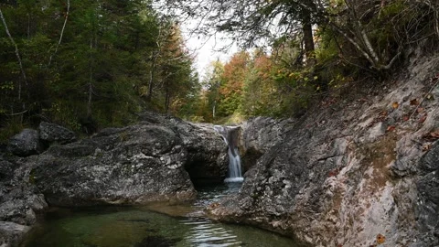 Autumn scenery of a mountain stream Video stock 260864559