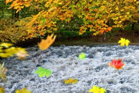 Autumn scenery Foto stock