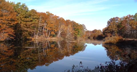 Autumn Scenery Reflection On The Water Stock Footage 69038527