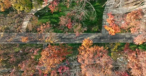 Autumn scenery of Wuhan East Lake Wetland Park Scenic Area 库存影片 228768341