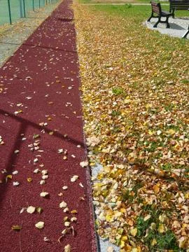 Autumn on school yard Stock Photos