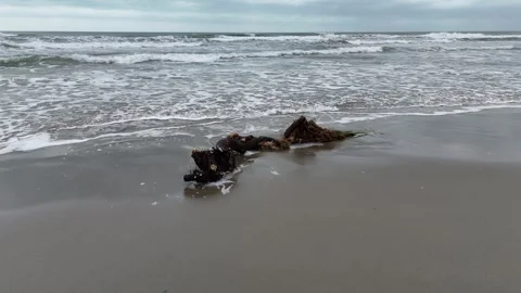 The autumn sea Stockbeeldmateriaal 254479426