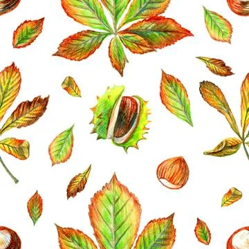 Autumn seamless pattern with chestnuts Stock Illustration