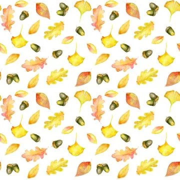 Autumn seamless pattern of oak leaves, ginkgo tree, acorns painted in waterco Ilustración de archivo