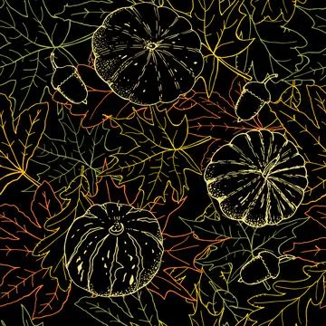 Autumn seamless pattern with pumpkin outlines on black background. Endless te Stock Illustration