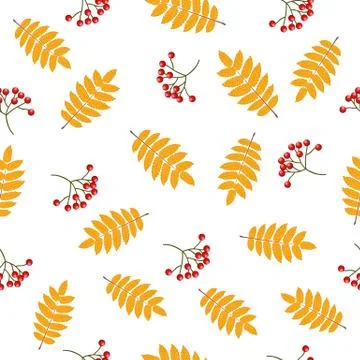 Autumn seamless pattern with rowan Stock Illustration