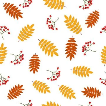 Autumn seamless pattern with rowan Stock Illustration