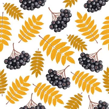 Autumn seamless pattern with rowan Stock Illustration