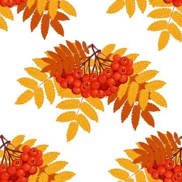 Autumn seamless pattern with rowan Stock Illustration