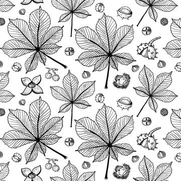 Autumn seamless vector pattern with chetnut Stock Illustration
